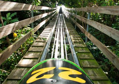 Rainforest Adventures Mystic Mountain, Ocho Rios