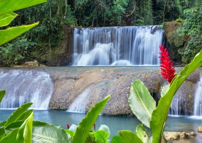 Black River Safari Boat Tour and YS Falls